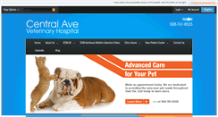 Desktop Screenshot of centralavevethospital.com