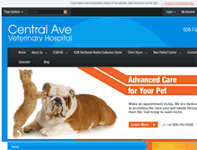 Tablet Screenshot of centralavevethospital.com